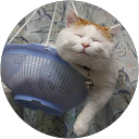 Mario Vega Sánchez Mario Vega Sánchez